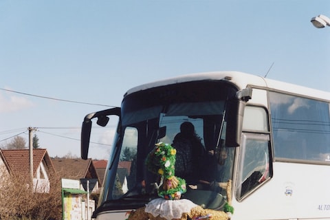 Masopust, 2014