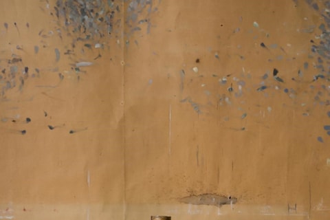 3_Meyerowitz_Gallery_01