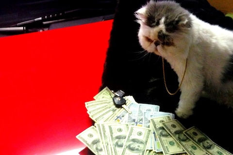 tumblr_nakzgdT4bF1qgn992o1_1280