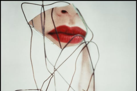 01_seidner_david_2007_64_2_8