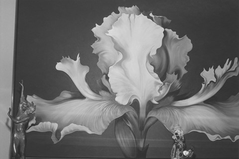 Arnold Kramer, Living Room Wall, Chevy Chase, Mary
