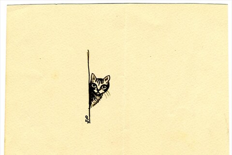 Curious French Cat
