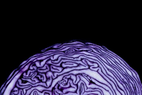 PATTERNITY_W_L1779