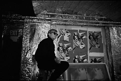 ‘Andy with Cow Paper’, The Factory, New York, 1966