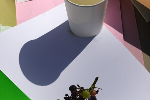 Modern Alchemy by Viviane Sassen and Emanuele Coccia 