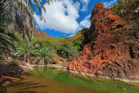 Socotra, Yemen