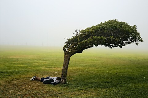 Pieter Hugo Kin 1994 1-54 African Art Fair