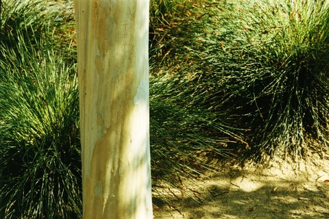 Mikiko Hara, #142, Untitled, 2009 (Still). Copyrig