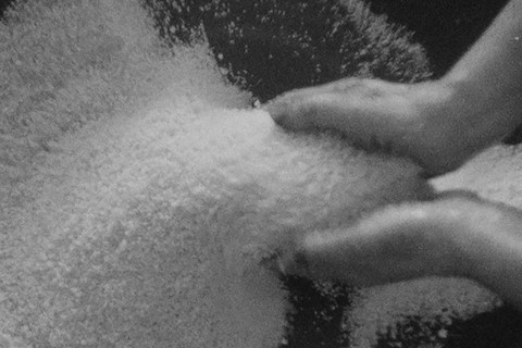La B&#234;te: A Modern Tale’ by Yasmina Benabderrahmane
