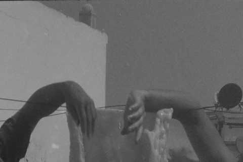 La B&#234;te: A Modern Tale’ by Yasmina Benabderrahmane