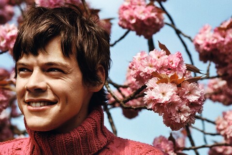 Harry Styles Another Man magazine Alasdair McLellan fashion