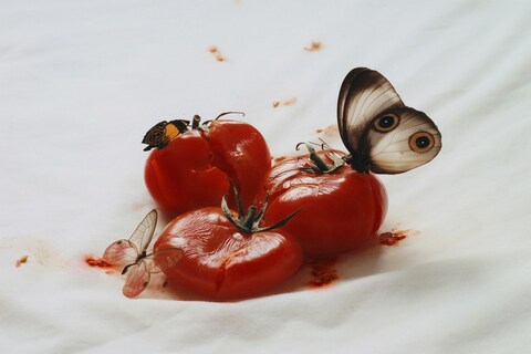 The Still Life - 2