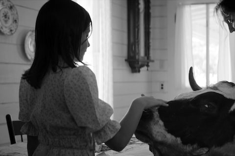 EOMM_ProRes 422 HQ_2K_Stereo.00_04_16_07.Still059