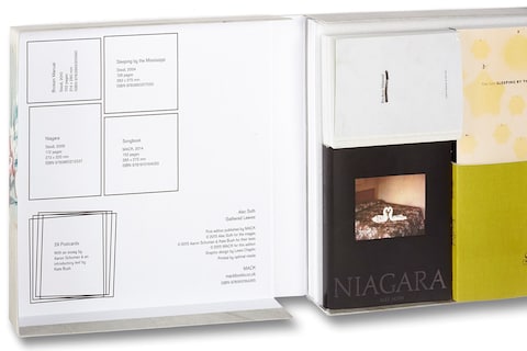 Alec Soth_Gathered Leaves 2