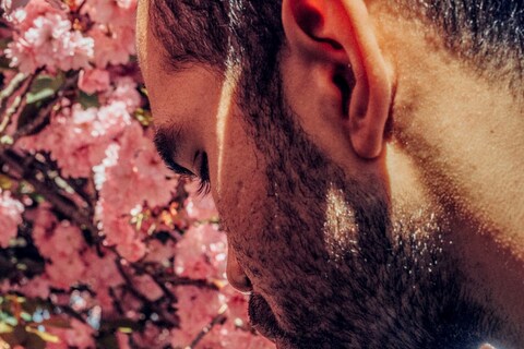 Untitled (Spring Sprung)