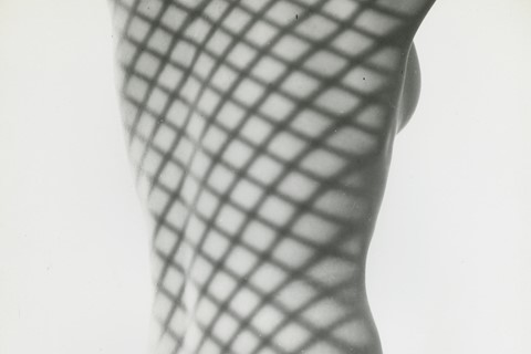 Erwin Blumenfeld _ Nude with Screen Shadow, NY, 19