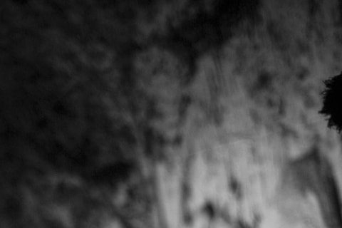 DSC_4676_Photo_Aristide Barraud