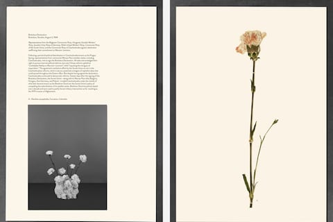 1968_Bratislava_OnCement_v2