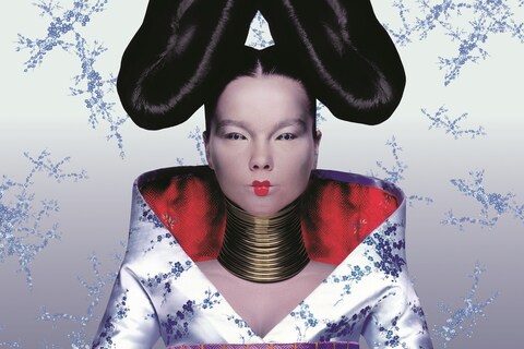 Bj&#246;rk, Homogenic album cover