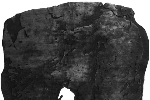 Helmut Lang, Untitled, 2013