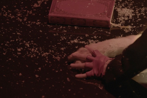 Neck of the Woods Charlotte Rampling &#169; Studio lost