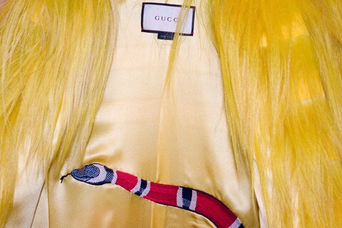 5aw16GUCCI_pollybrown