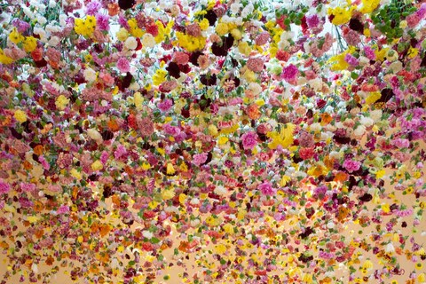 flowers-1