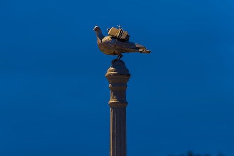 Adel-Abdessemed-&#39;Bristow&#39;-2016-Bold-Tendencies-Com