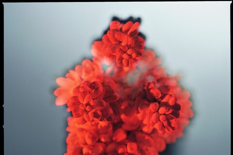 03_Untitled-9_flat