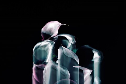 22_Untitled-#2