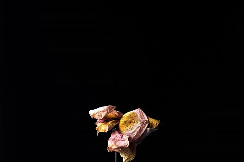 27_Untitled-20