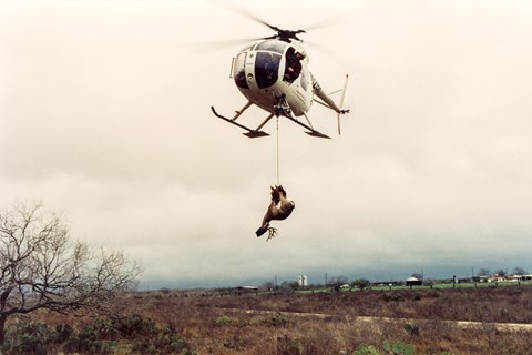 Will Vogt These Americans book photography