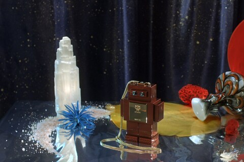 MCM: Robots in Space