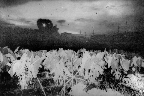 Daisuke Yokota x Another Man