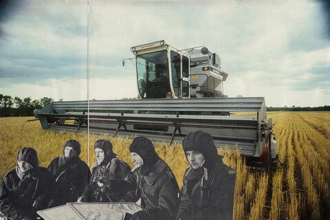 Joe Webb, Harvest