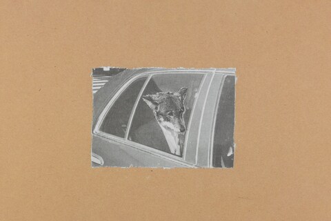 From Some Collages by Jim Jarmusch book