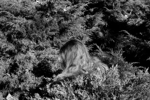 Untitled (Hair)