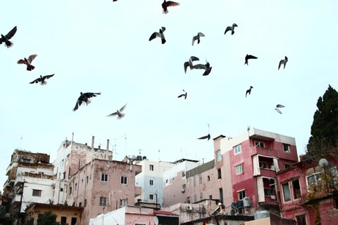 Beirut, One Year On