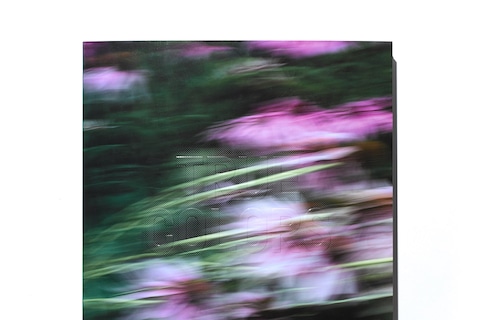 True Colors (or, Affirmations in a Crisis)