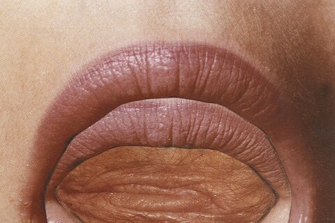 Read My Lips_1973_Penrose collection