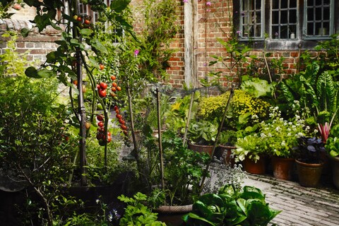 008-9 Great Dixter Andrew Montgomery. Courtesy Phaidon
