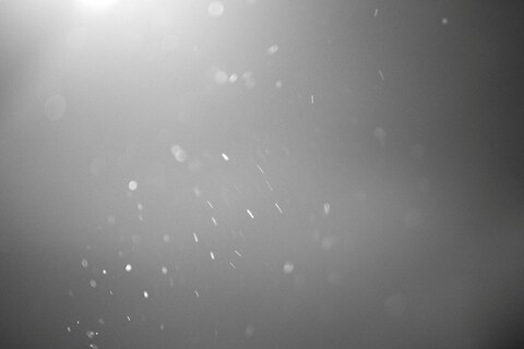 Material Clare Strand Grimaldi Gavin