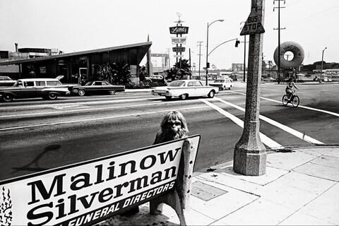 Dennis Stock California Trip Reissue Anthology Editions