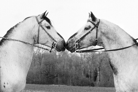 Love_M82_B_11a