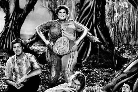 Nirvana in Heart-Shaped Box video