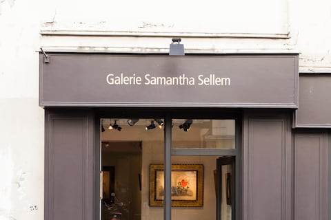 Antique Stores and Art Galleries on the Left Bank