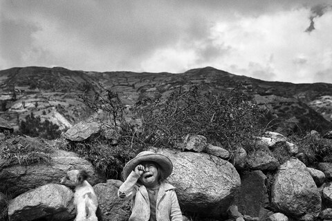 7949_20_3_Peru_1981
