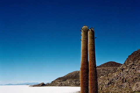 Discovery, 2006, Bolivia, (c) Scarlett Hooft Graaf