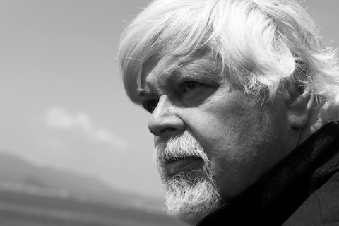 LACOMBE_16041_SEA SHEPHERD_BL_B1839_A