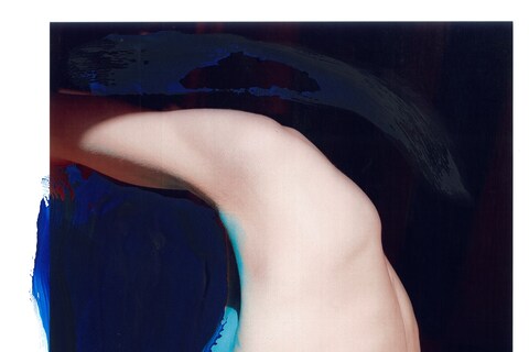 Press-VivianeSassen-Roxane II-2